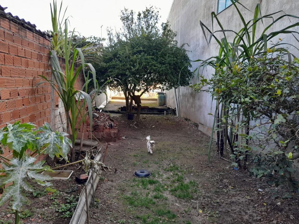 Casa à venda com 3 quartos, 250m² - Foto 52