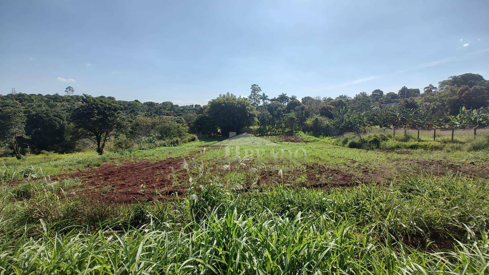 Chácara à venda, 3000M2 - Foto 3