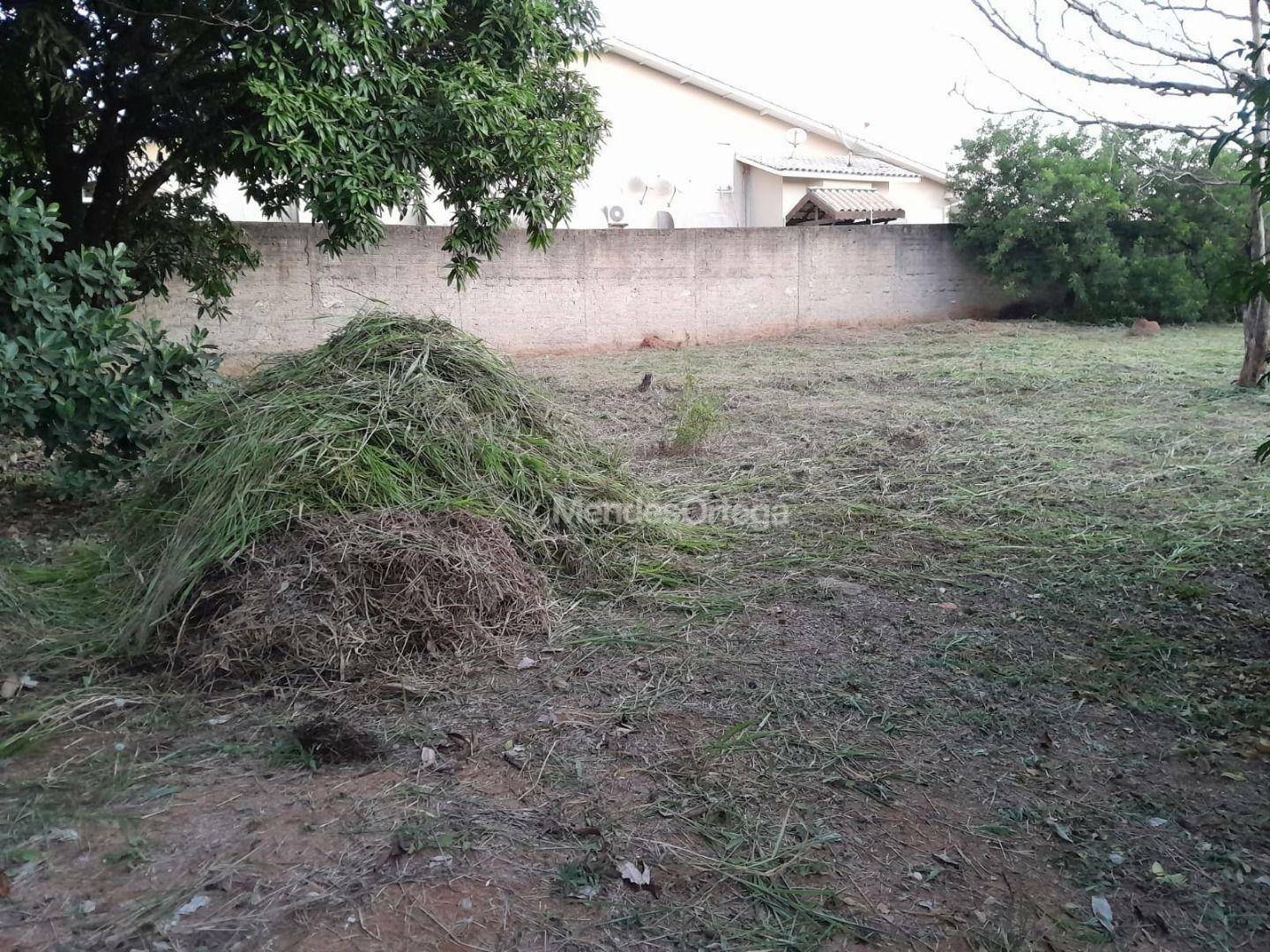 Terreno à venda, 1100M2 - Foto 4