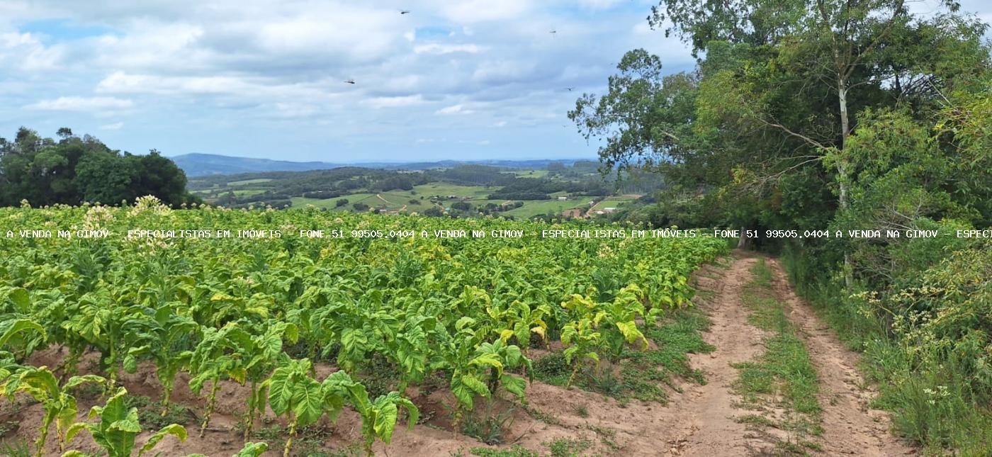 Loteamento e Condomínio à venda, 120000m² - Foto 11