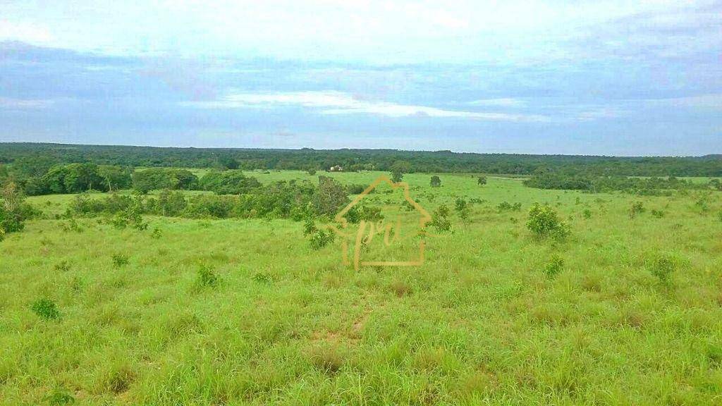 Fazenda à venda com 3 quartos, 250m² - Foto 28