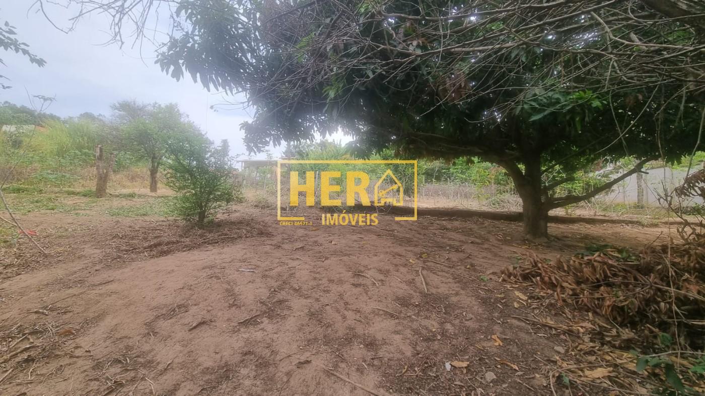Chácara à venda com 2 quartos, 242m² - Foto 6
