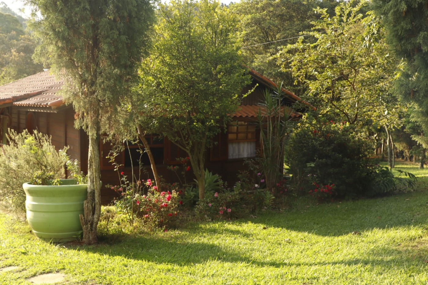 Chácara à venda com 4 quartos, 3500m² - Foto 26