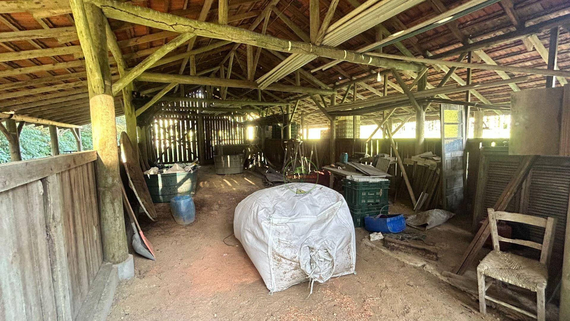 Sítio, 19 hectares - Foto 14