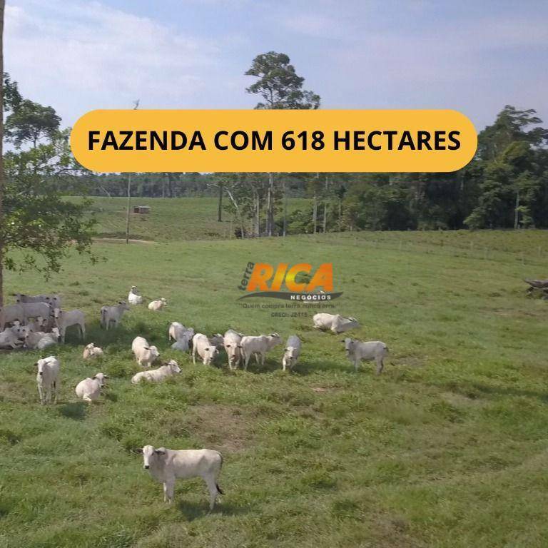 Fazenda à venda, 6180000M2 - Foto 1