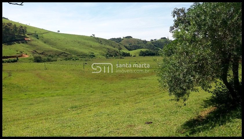 Fazenda-Sítio-Chácara, 254 hectares - Foto 3