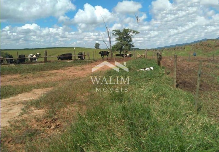 Fazenda-Sítio-Chácara, 650 hectares - Foto 4