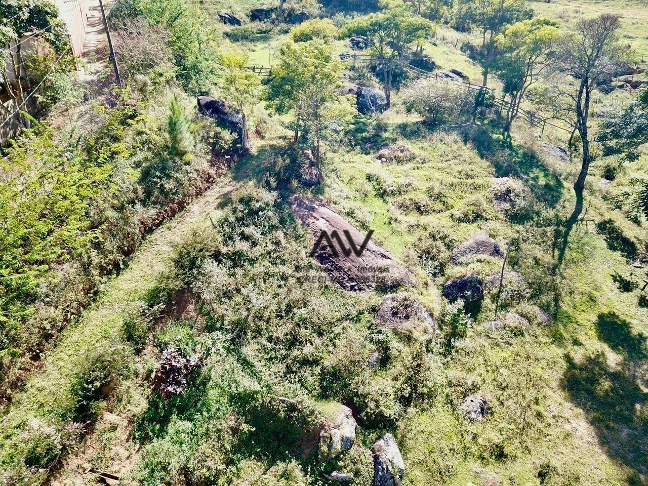 Terreno, 3800 m² - Foto 2