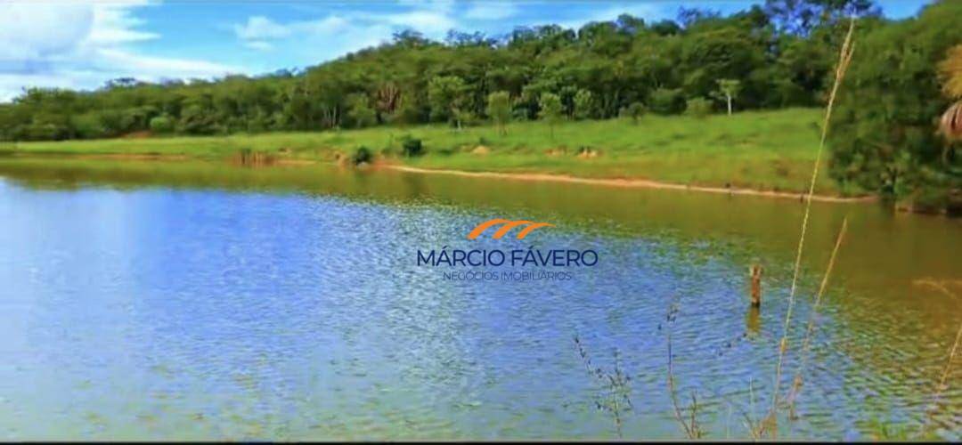 Fazenda-Sítio-Chácara, 980 hectares - Foto 12