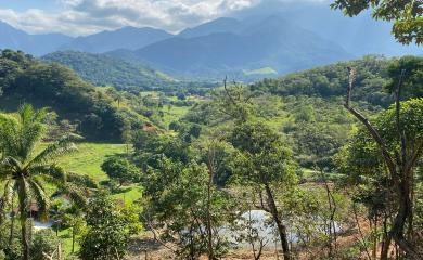 Fazenda à venda com 2 quartos, 50000m² - Foto 8