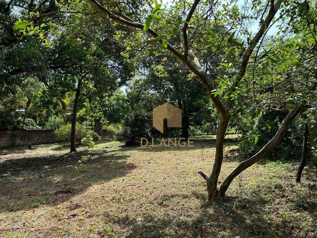 Terreno à venda, 2000M2 - Foto 2