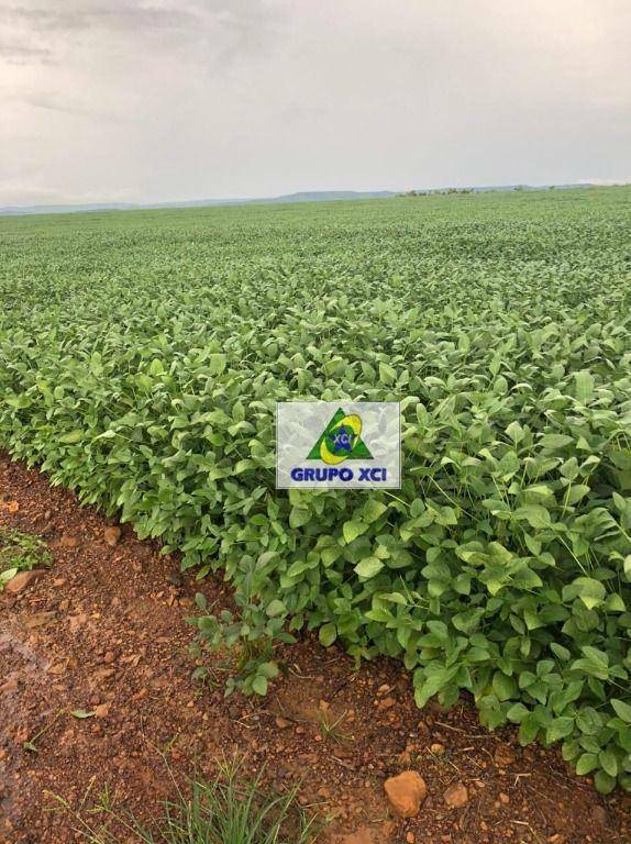 Fazenda à venda, 24900000M2 - Foto 9