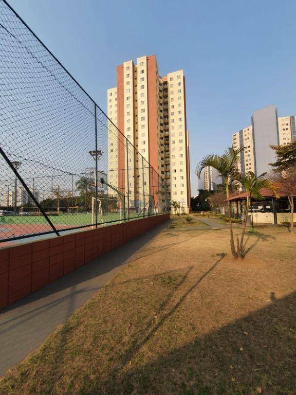 Apartamento à venda e aluguel com 2 quartos, 55m² - Foto 31