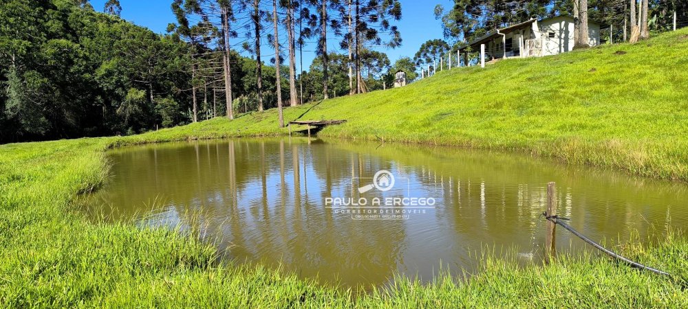 Fazenda à venda com 2 quartos, 13700m² - Foto 1