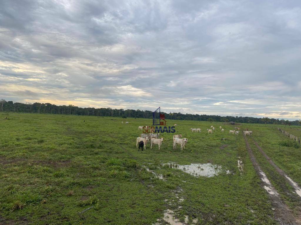 Fazenda-Sítio-Chácara, 411 hectares - Foto 2