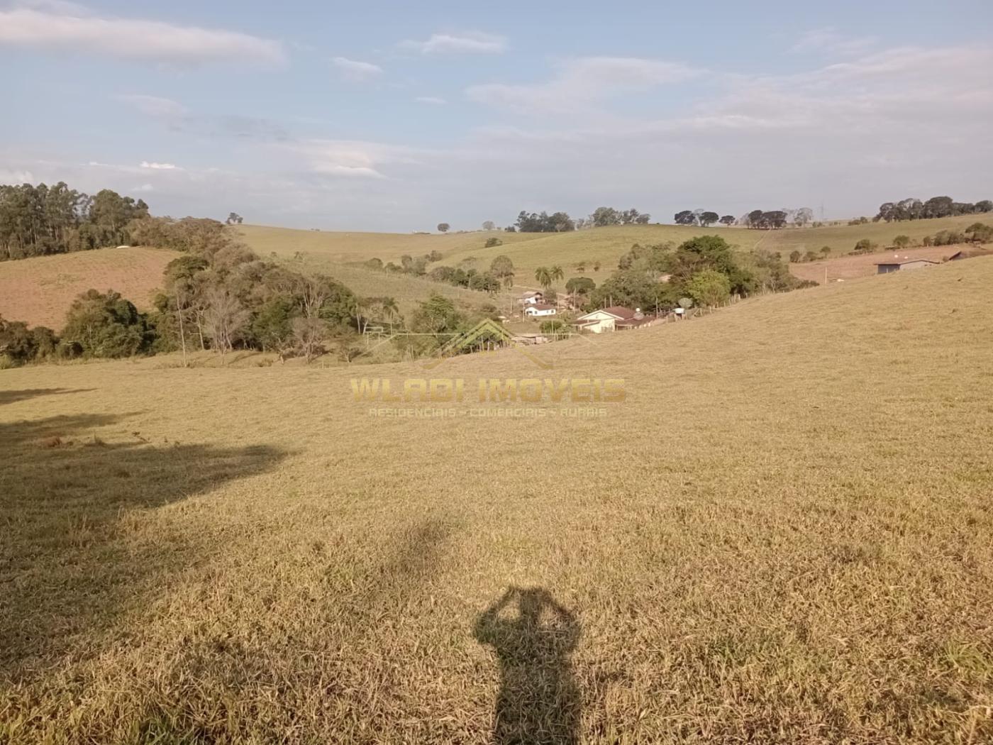 Fazenda à venda com 2 quartos, 4m² - Foto 9