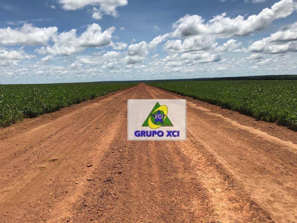 Fazenda, 13072 hectares - Foto 1