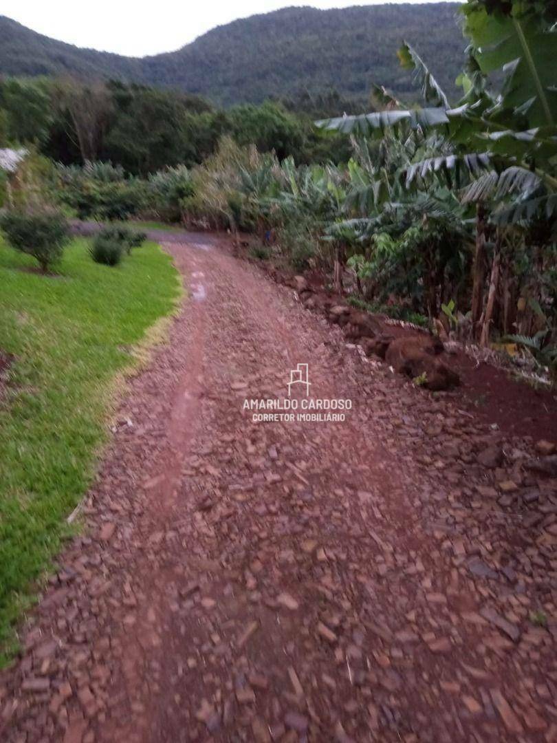 Chácara à venda com 3 quartos, 25000M2 - Foto 7