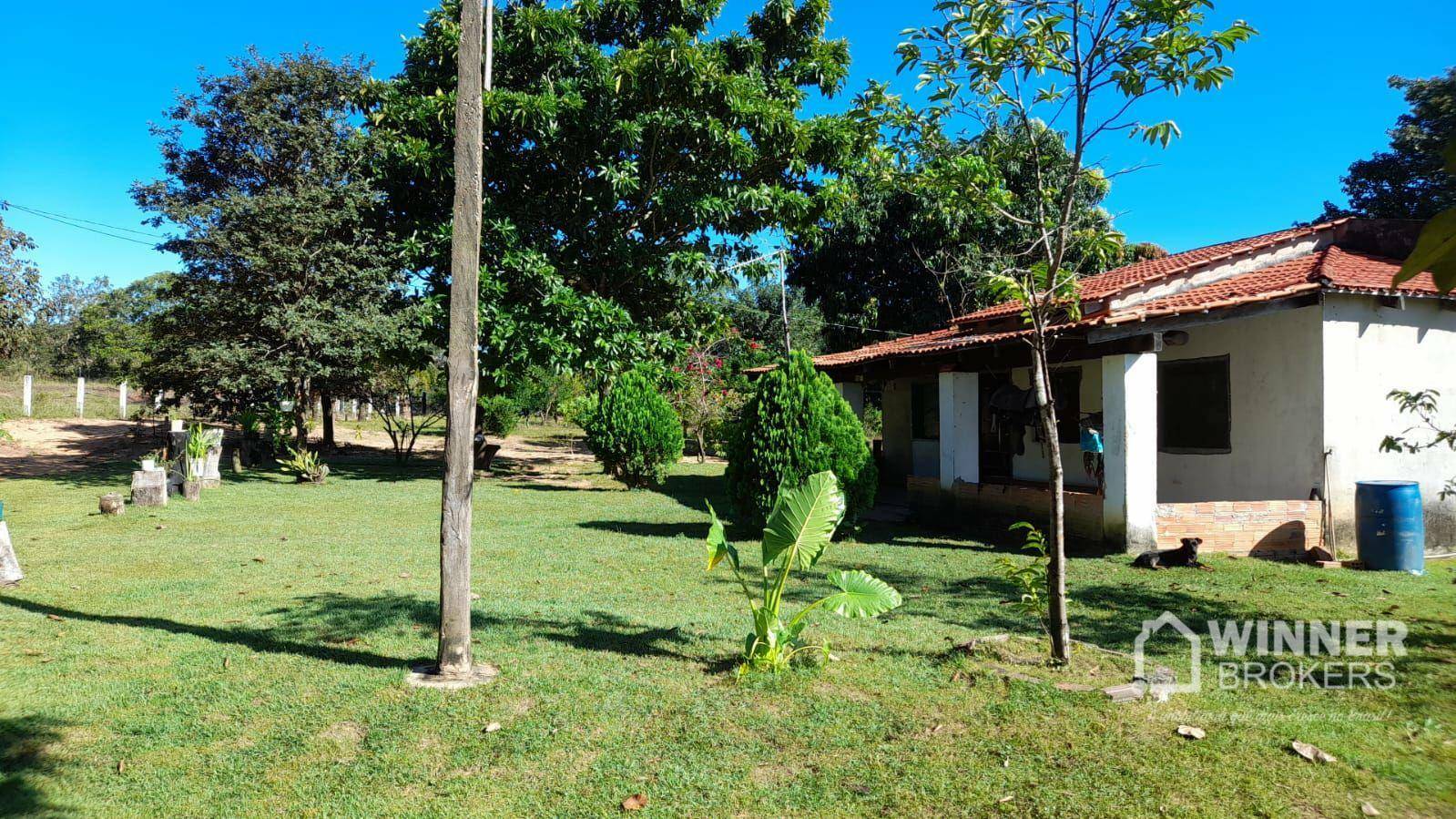 Fazenda à venda com 2 quartos, 4500000M2 - Foto 35