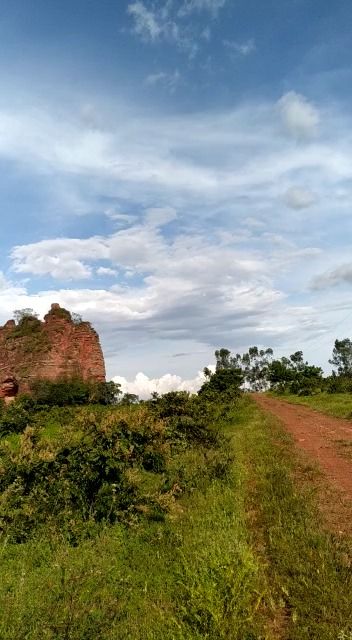 Fazenda à venda com 1 quarto, 17800000M2 - Foto 8