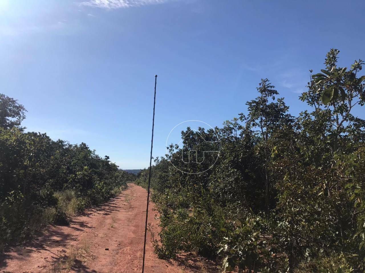 Fazenda à venda, 37930000M2 - Foto 9