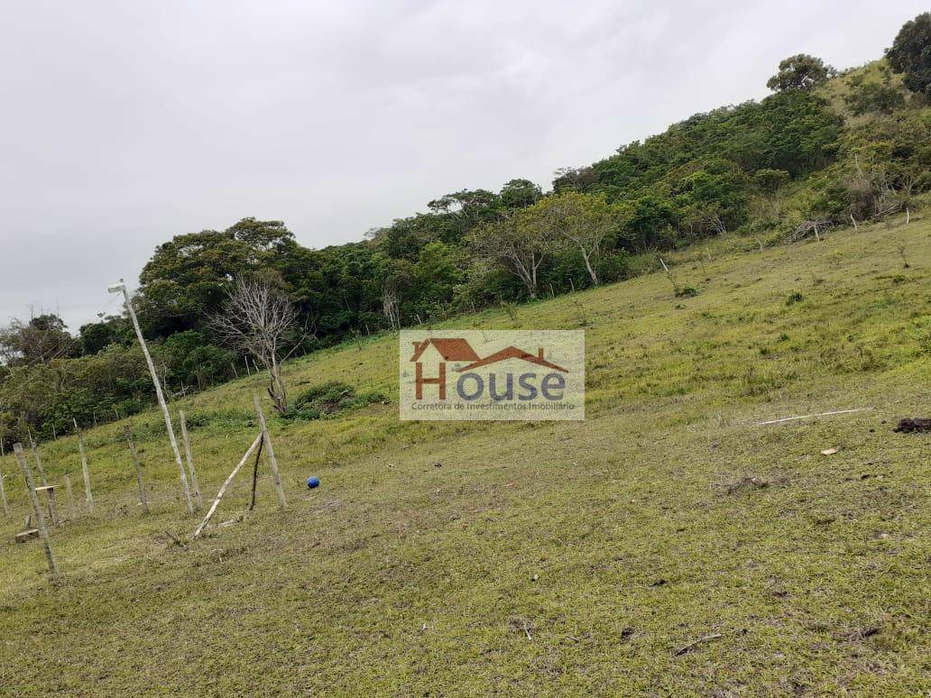 Terreno, 8000 m² - Foto 11