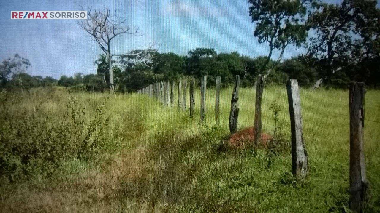 Chácara à venda com 4 quartos, 242000M2 - Foto 14