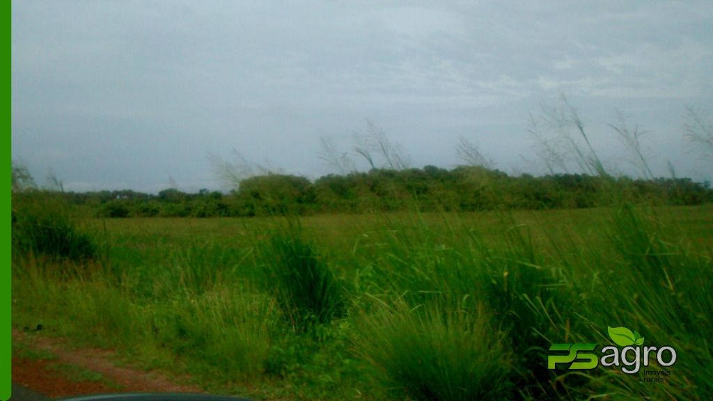 Fazenda-Sítio-Chácara, 49961 hectares - Foto 1