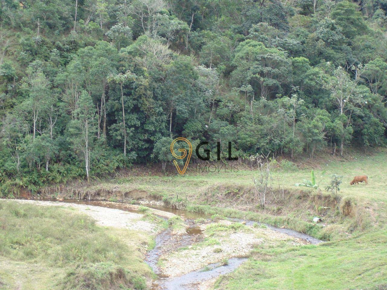 Fazenda à venda com 23 quartos, 1333100M2 - Foto 31