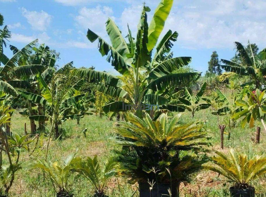Chácara à venda com 3 quartos, 150m² - Foto 23