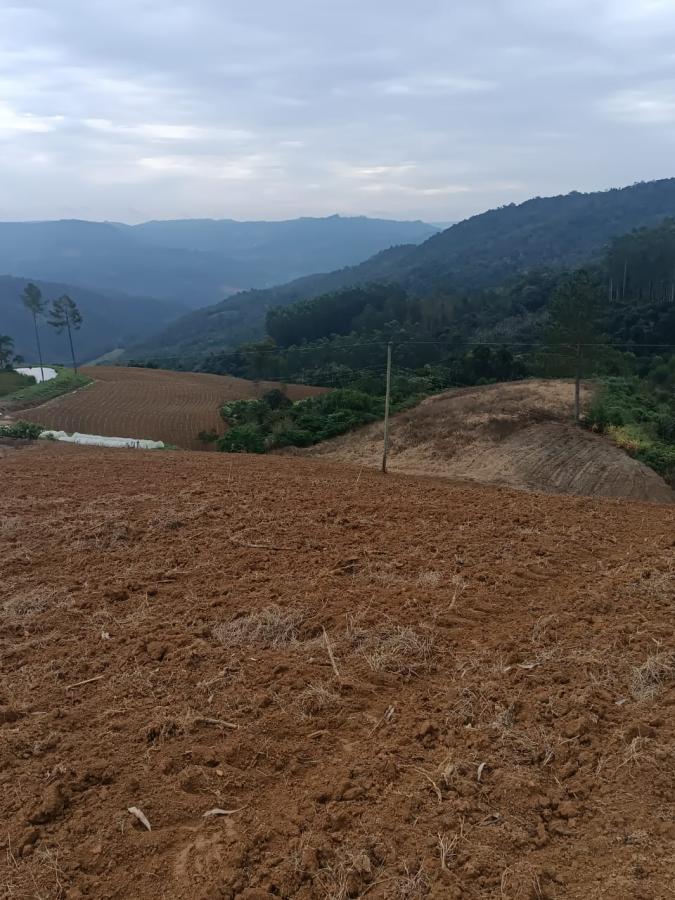 Fazenda à venda com 3 quartos, 260000m² - Foto 33