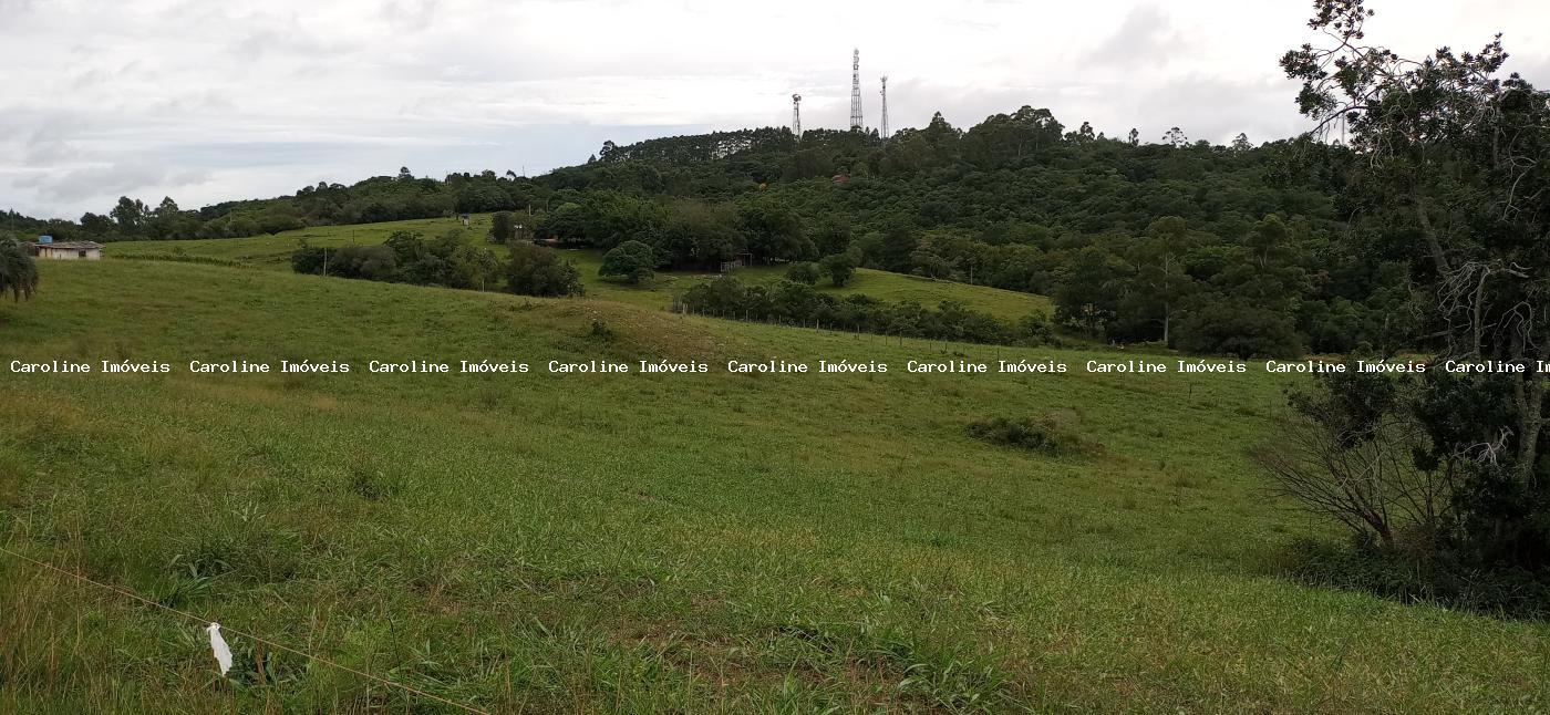 Fazenda à venda com 2 quartos, 220000m² - Foto 10