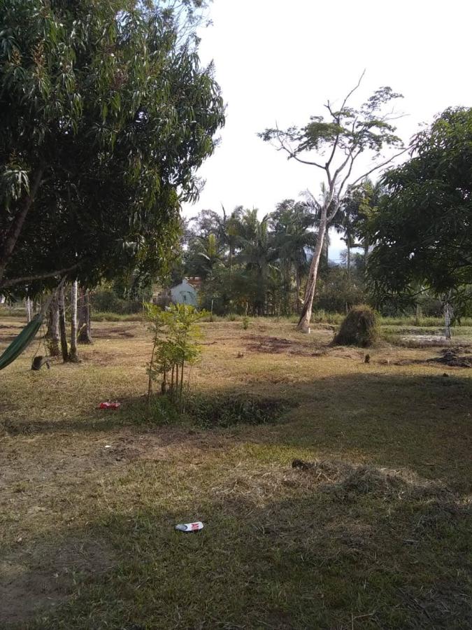 Fazenda à venda com 2 quartos, 3500m² - Foto 5