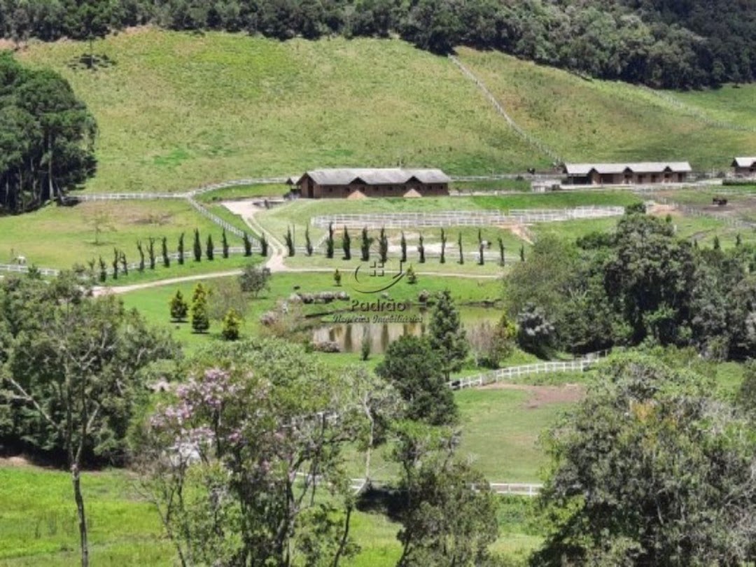 Fazenda à venda com 6 quartos, 1000m² - Foto 5