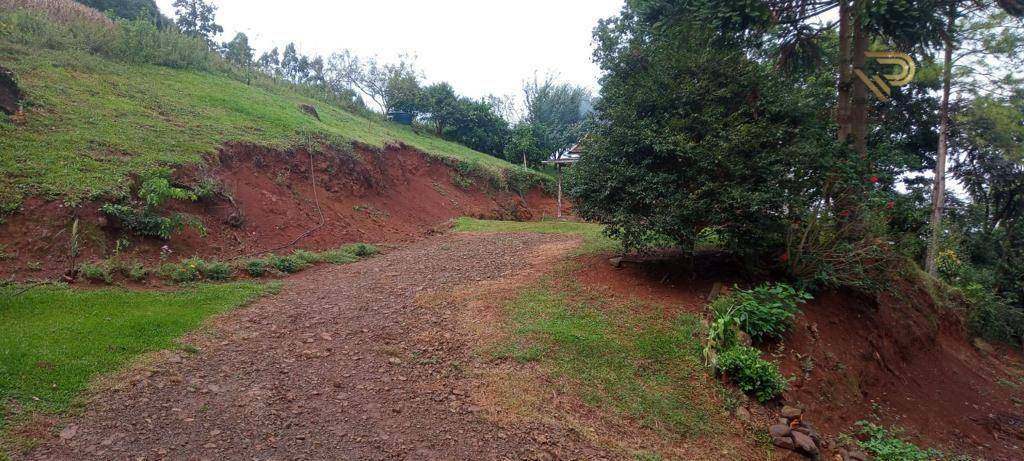 Terreno à venda, 169000M2 - Foto 10