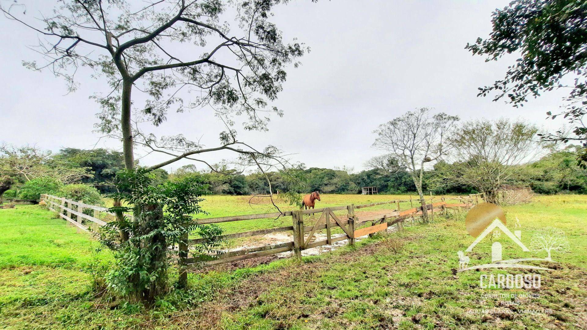 Haras e Área Rural Padrão à venda com 3 quartos, 270000M2 - Foto 4