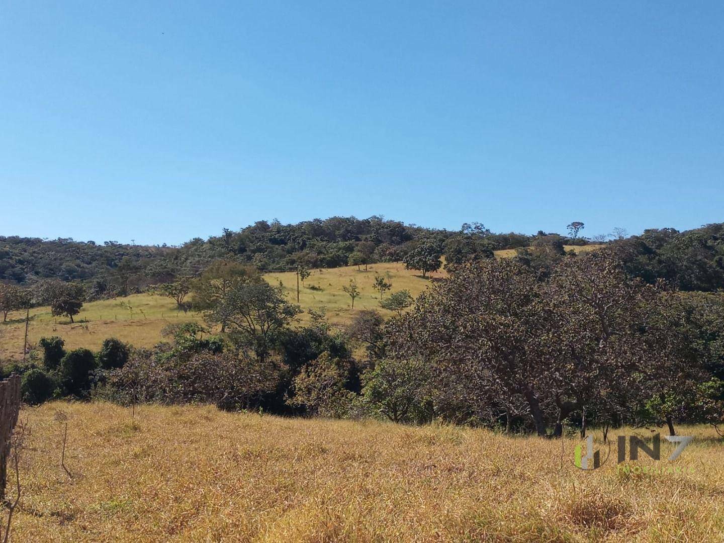 Fazenda à venda, 300000M2 - Foto 2