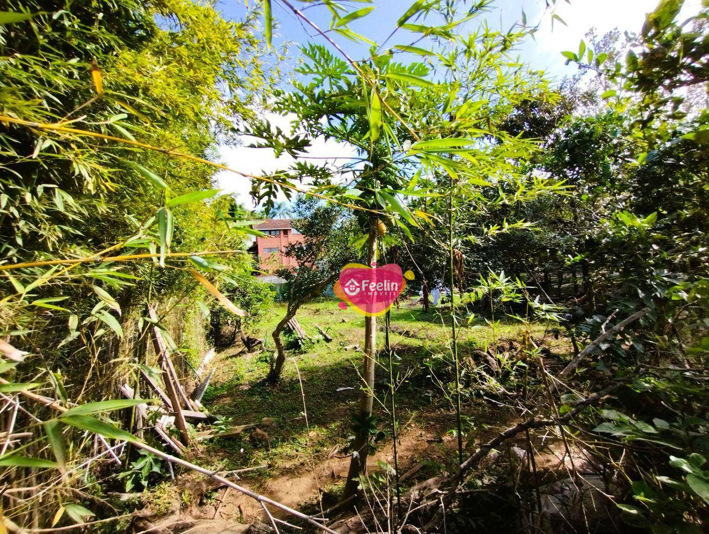 Terreno à venda, 392M2 - Foto 7