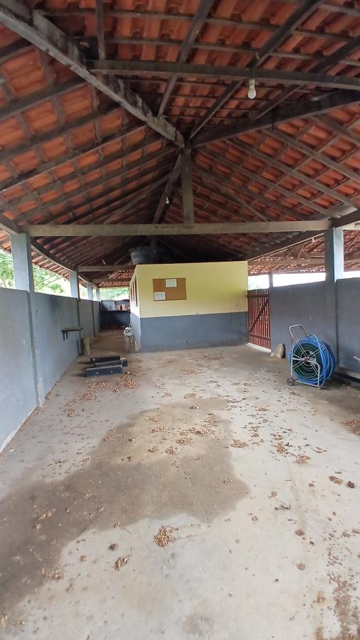 Fazenda à venda com 4 quartos, 19m² - Foto 28