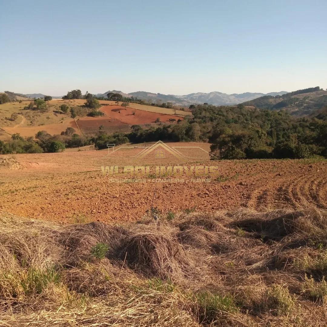 Fazenda à venda, 14m² - Foto 3