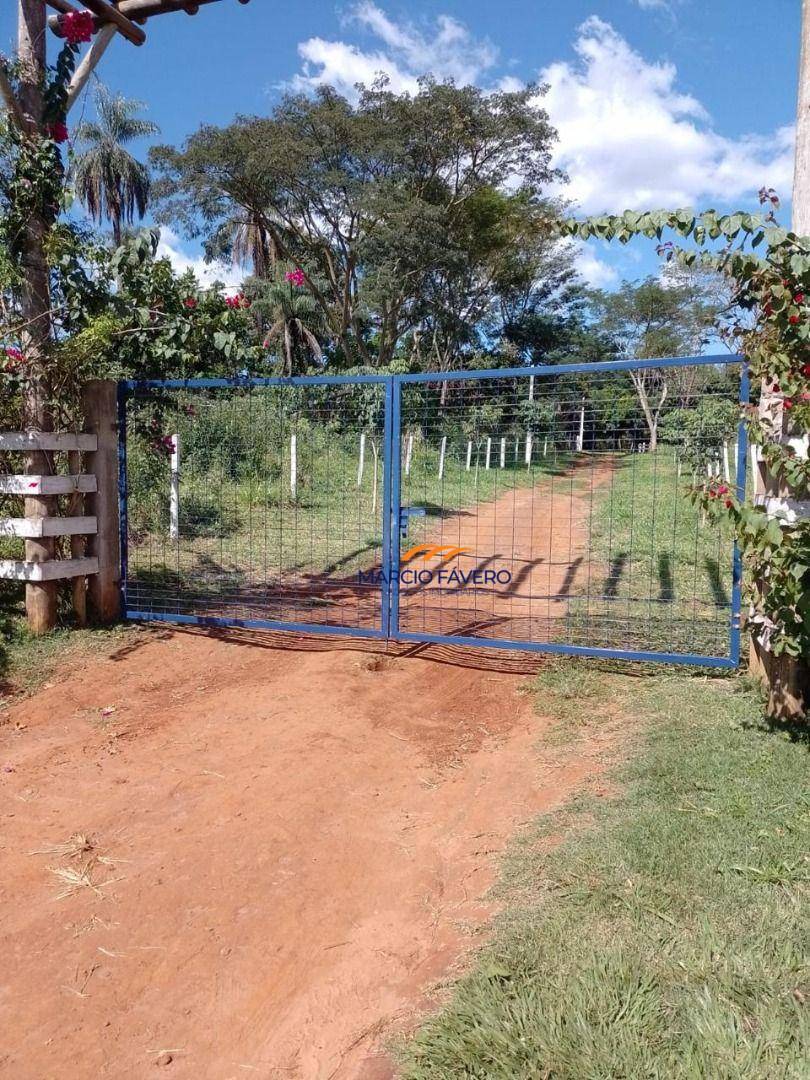 Fazenda, 121 hectares - Foto 12