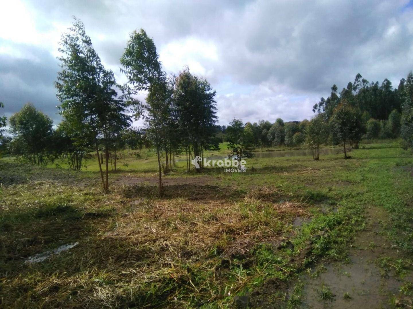 Terreno à venda, 1896M2 - Foto 2
