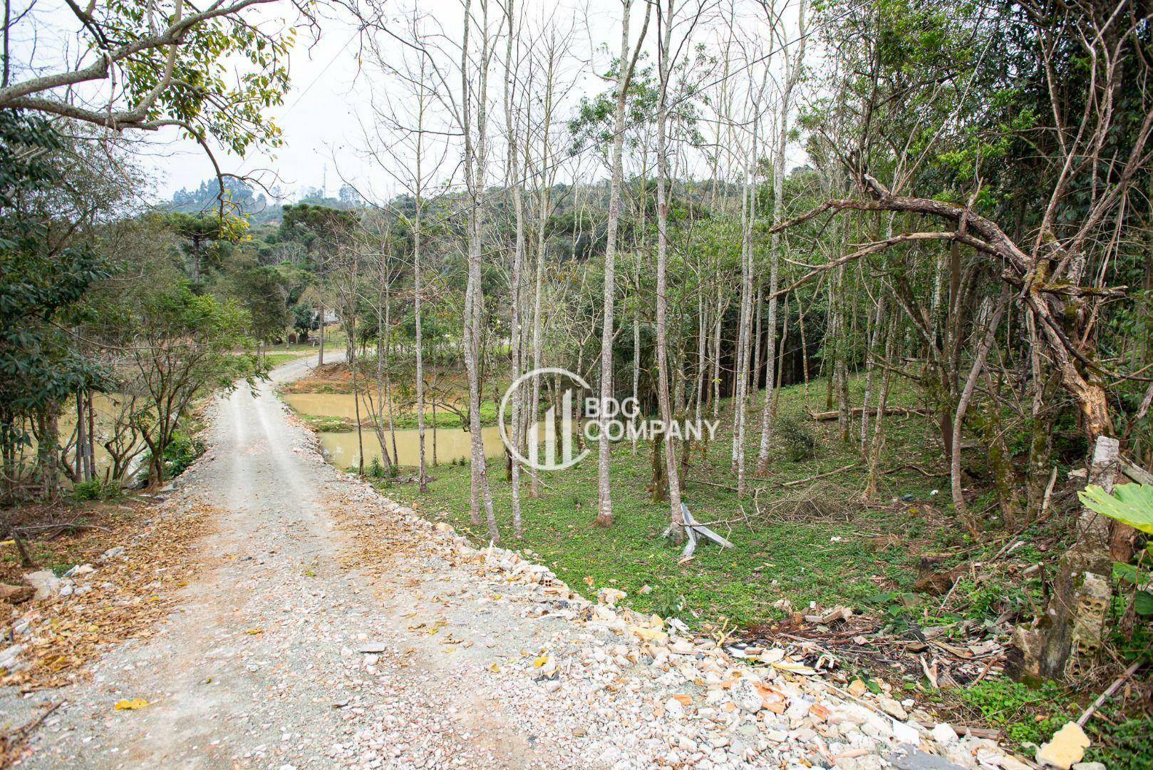 Chácara à venda com 3 quartos, 160m² - Foto 10