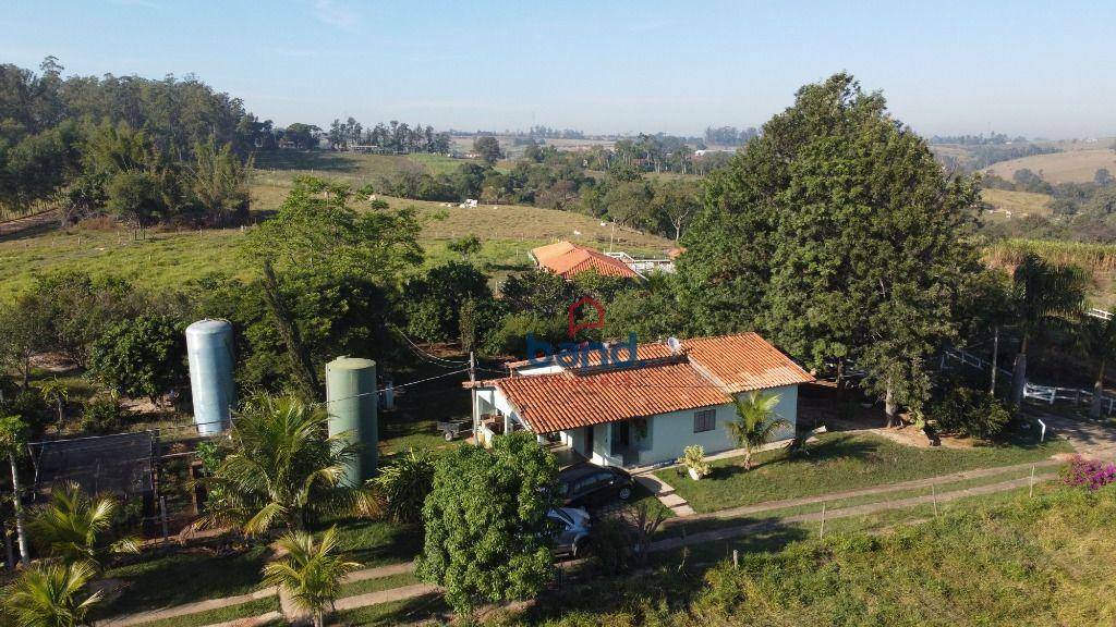 Haras e Área Rural Padrão à venda com 5 quartos, 108900M2 - Foto 28