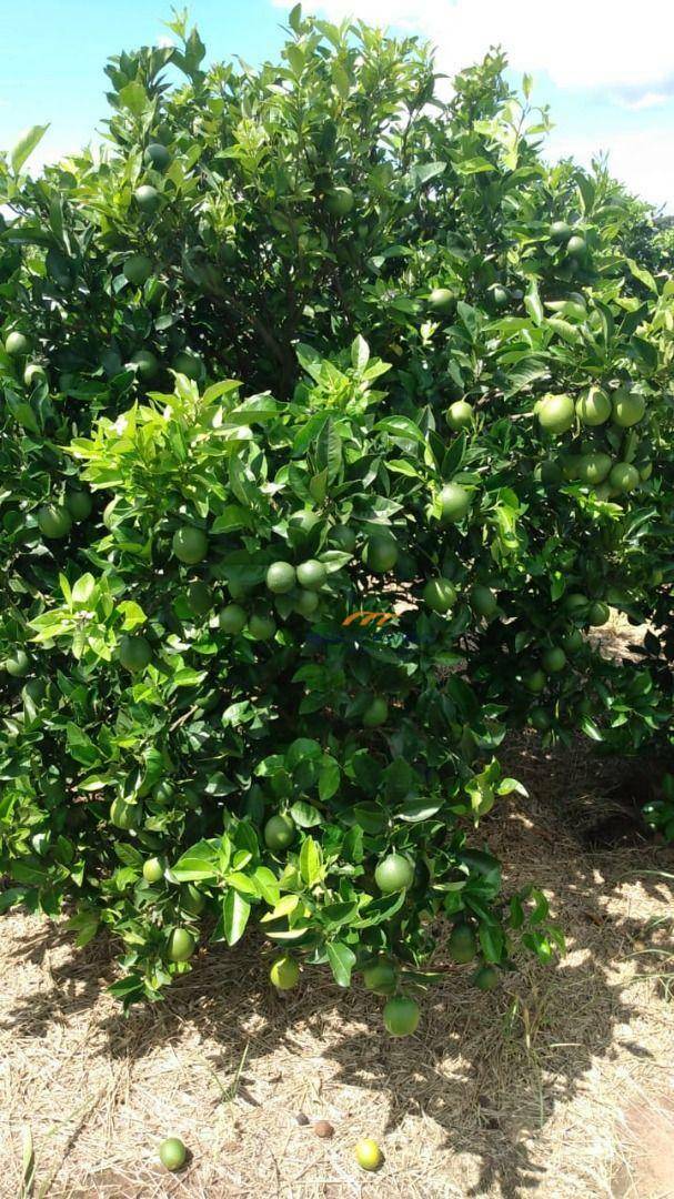 Fazenda à venda, 1694000M2 - Foto 5