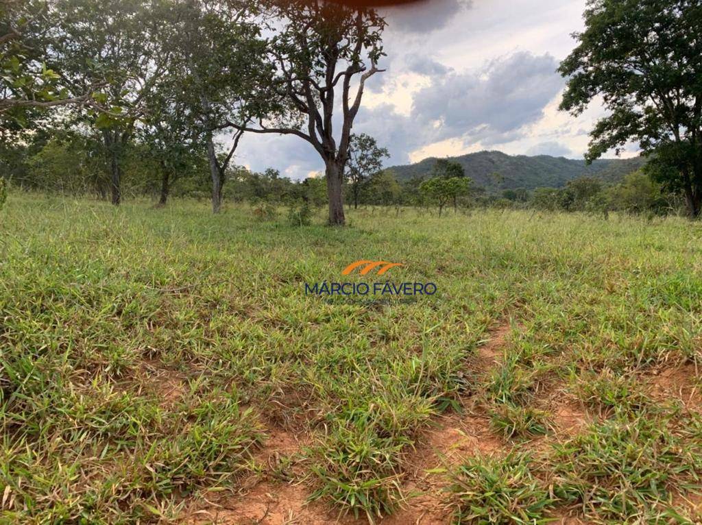 Fazenda, 212 hectares - Foto 4