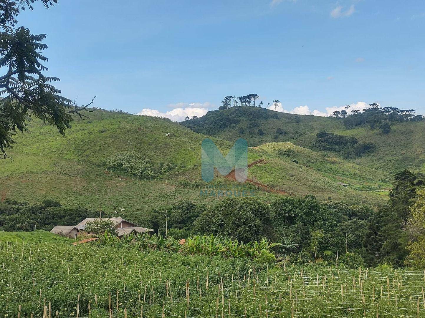 Terreno à venda, 86000M2 - Foto 4