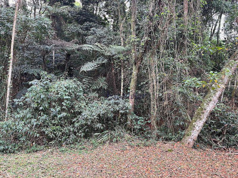 Loteamento e Condomínio à venda, 1120M2 - Foto 7