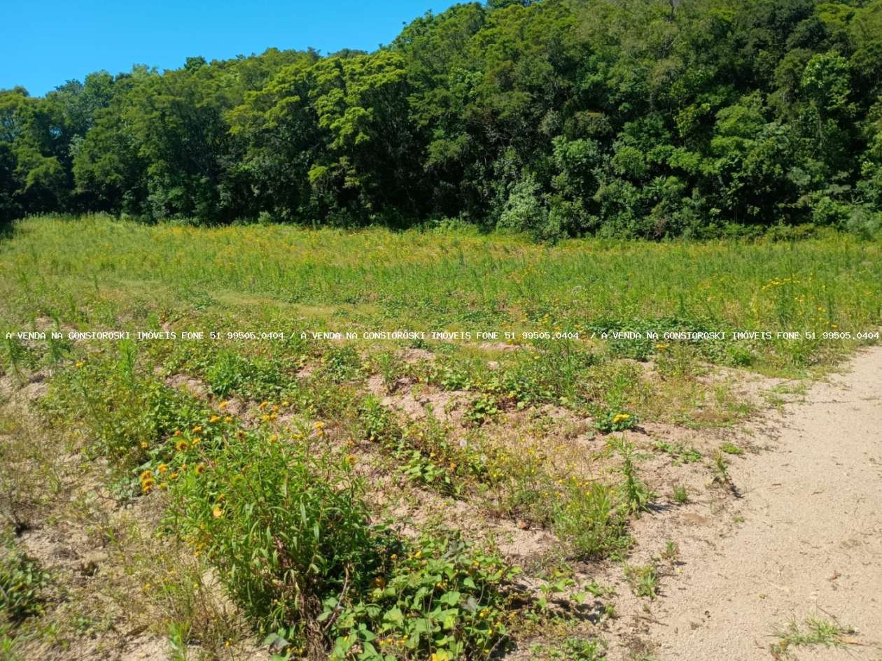 Sítio, 9 m² - Foto 15