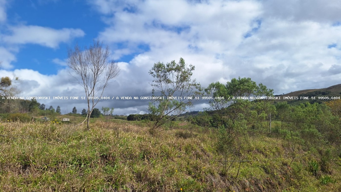 Sítio à venda com 1 quarto, 25000m² - Foto 7
